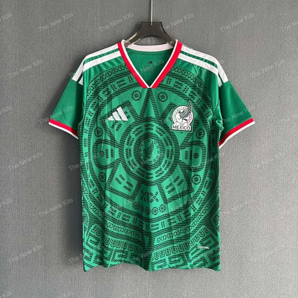 Mexico Home (1)