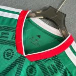 Mexico Home LS (3)