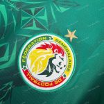 Senegal Away (2)