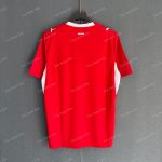 Switzerland Home (7)