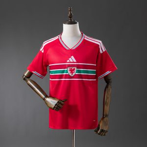 Wales 2026 Home Kit- Fan Version