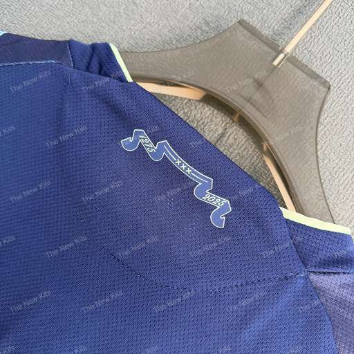 Ajax 25/26 Away Kit – Payer Version