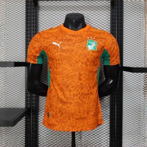 Ivory Coast World Cup 2026 Home Kit - Player Version