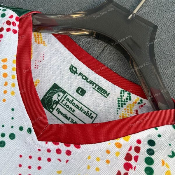 Cameroon Away Player Version (3) Cameroon Away Player Version (3)