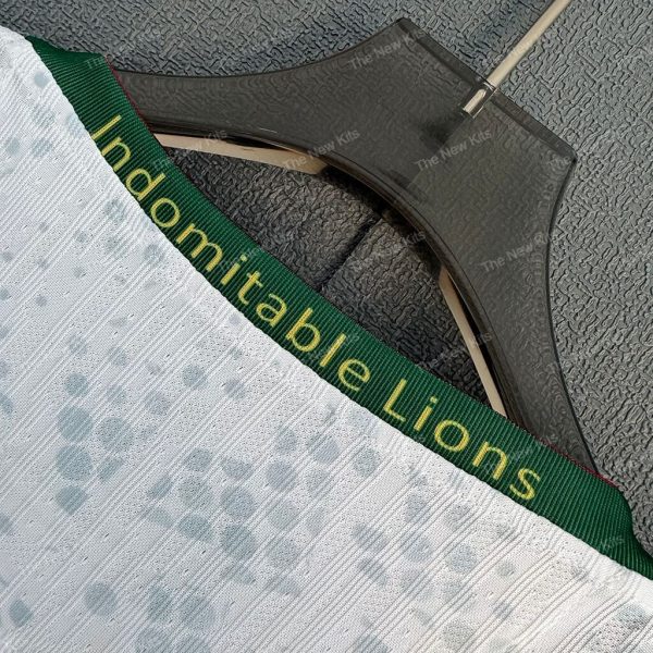 Cameroon Away Player Version (6) Cameroon Away Player Version (6)