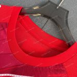 Gambia Home Player Version (3)