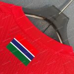 Gambia Home Player Version (6)