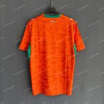 Ivory Coast Home (7)