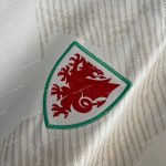 Wales Away (2)