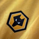 Wolverhampton Wanderers Home (2)