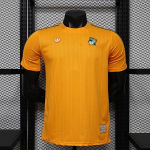 Ivory Coast World Cup 2026 Special Kit - Player Version