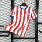 Paraguay World Cup Jersey